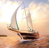 大发体育(中国游)官方网站